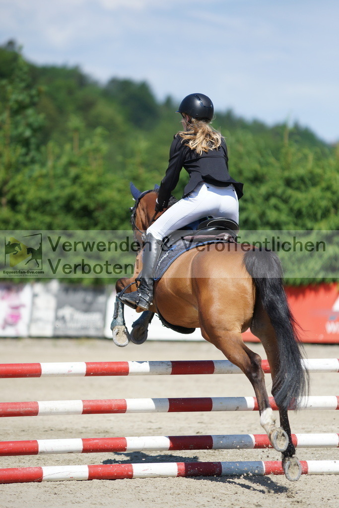 DSC06204 | equestrian-live-com