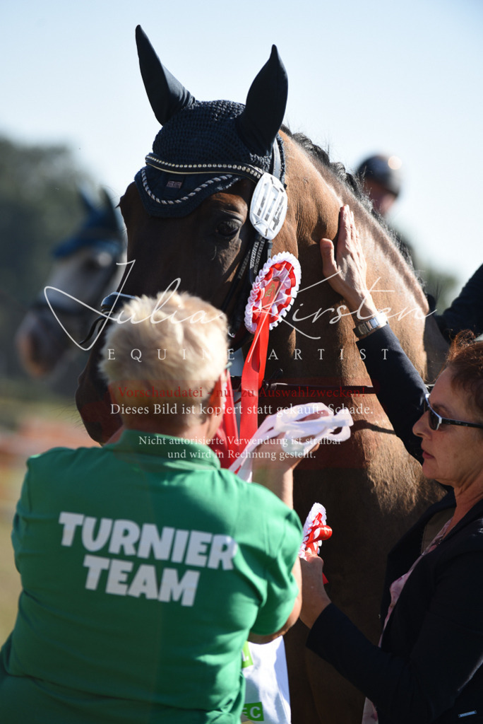 DSC_5462 | Pferde- und Turnierfotografie in Westsachsen. Pferdeportraits, Auftragszeichnungen und intuitive Kunst.