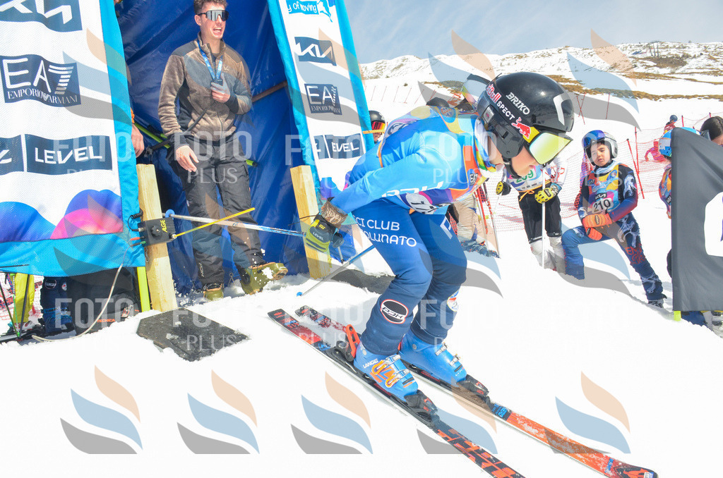 _ELE6651 | holidayphoto