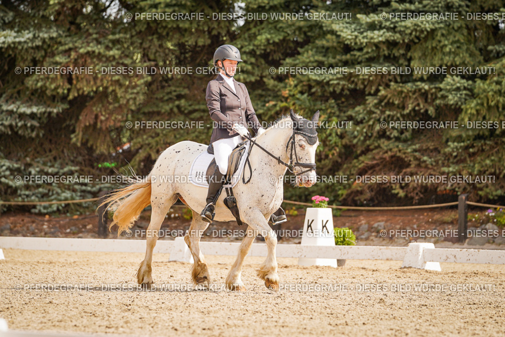 DSC01581 | Pferdegrafie