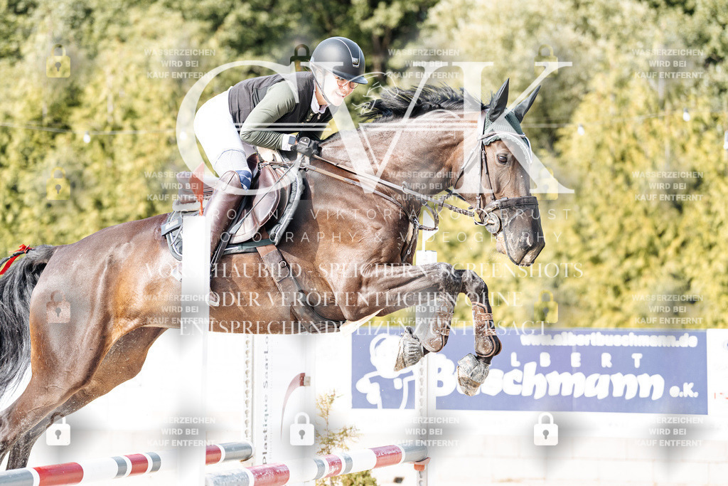 CK905552 | Turnierfotografie Pferdefotografie Trier Rheinland-Pfalz Pferdesport Reitsport Tierfotografie Sportfotografie Pferdevideo Pferdevideografie Equestrianvideography equestrianphotography  - Realisiert mit Pictrs.com