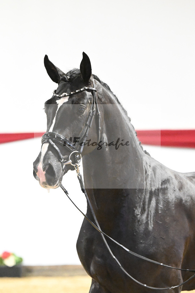 Kat-Nr. 17 v. Sezuan_Logpoint GmbH_63220497 | hf-fotografie - Realizzato con Pictrs.com