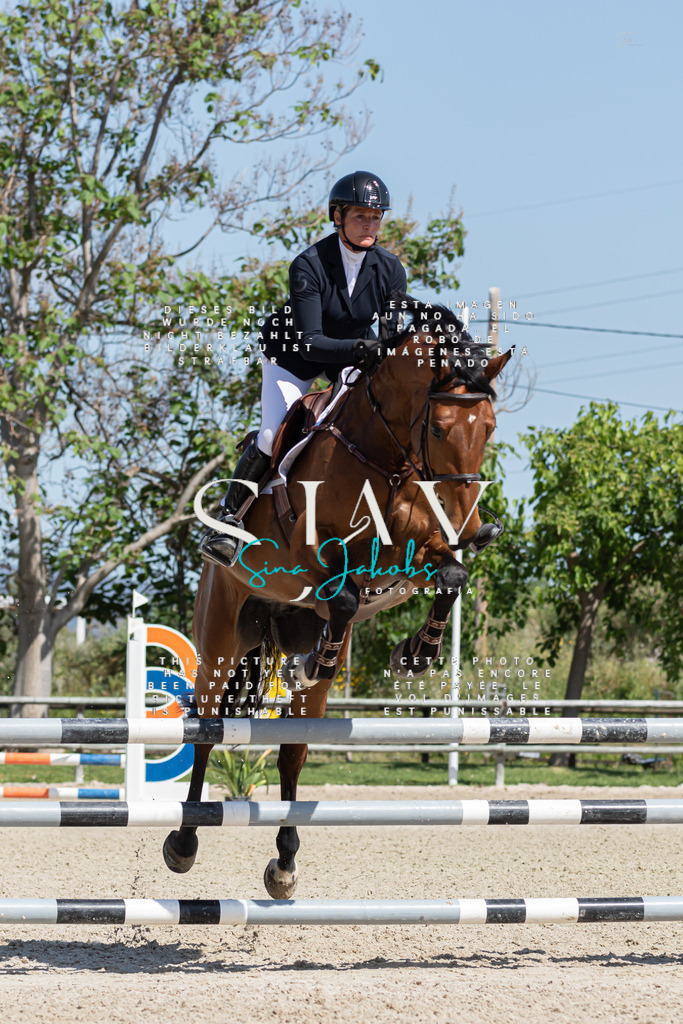 IMG_0743 | s-jay-photography - Realisiert mit Pictrs.com