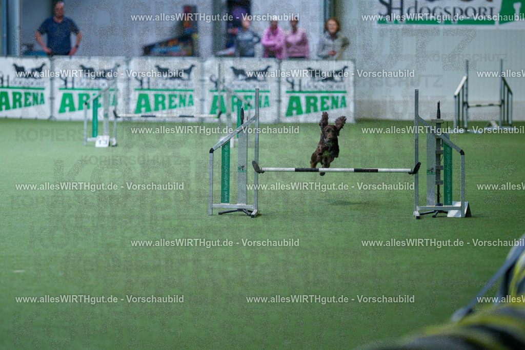@allesWIRTHgut_Tierfotografie - www.allesWIRTHgut.de - 2604260804-7R506551 | Professionelle Tierfotografie in Mönchengladbach von Daniel Wirth (allesWIRTHgut). Liebevolle & natürliche Bilder von Hunden & Katzen für unvergessliche Erinnerungen.