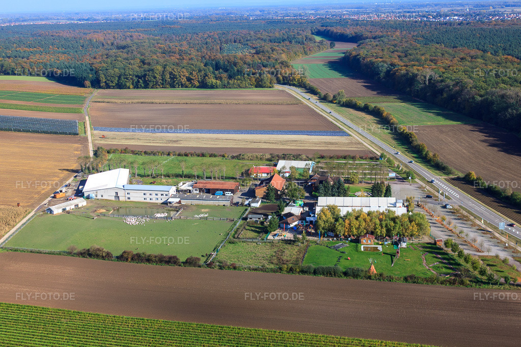 Luftbild: Adamshof in Kandel im Bundesland Rheinland-Pfalz in Deutschland. Foto: IMG_34960.jpg vom 26.10.2010 durch Werner Riehm/FLY-FOTO.de
