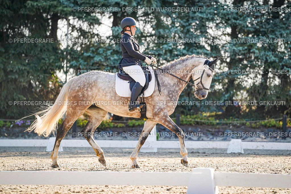 DSC08478 | Pferdegrafie