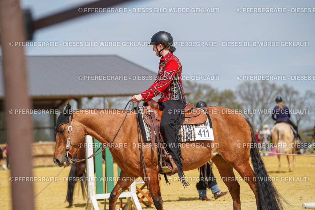 DSC04552 | Pferdegrafie