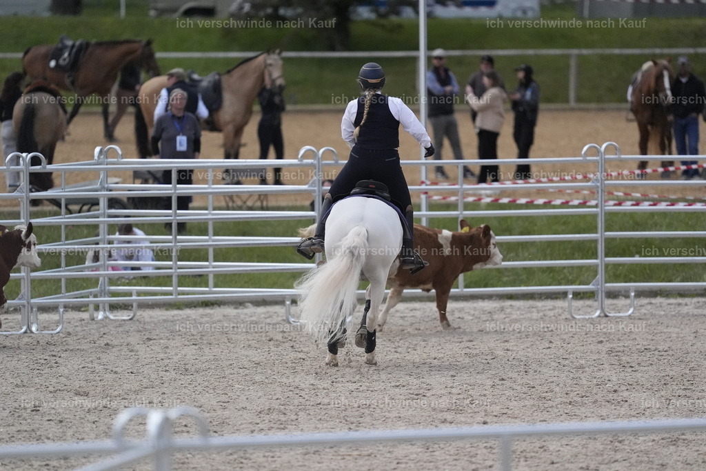 PI26_COW_Stoibphotography_DSC5880.JPG | working equitationturnier fotograf videograf stoibphotography marixx film working equitation deutschland reitsport turnierfotografie eventfotografie equestrian events
