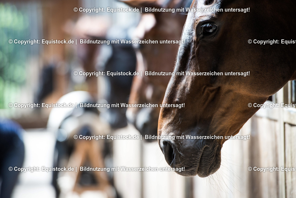 20160620_Stallgasse_0002 | Foto: Linda Balz