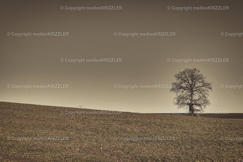 _J3A9919 | medienkrizzler - Realisiert mit Pictrs.com