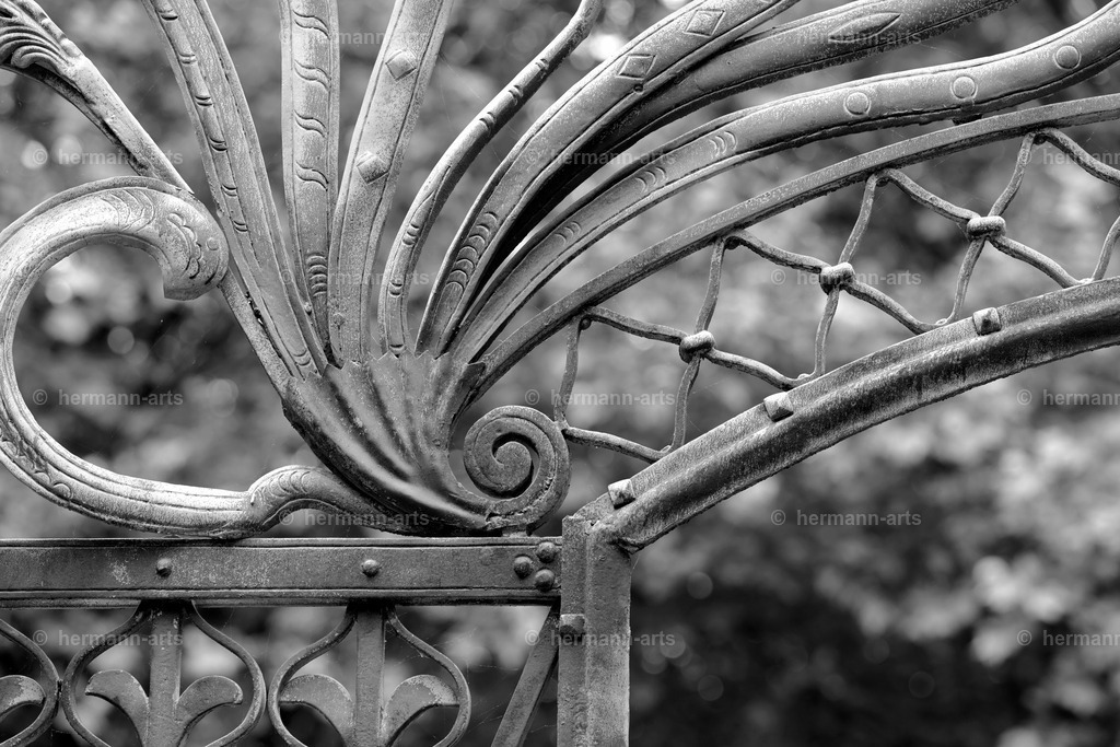 Hermann-Arts_Barockes Tor_027 | Photo Foto Kunst Art schwarzweiss Bilder Rheine Münster Berlin Blumen 