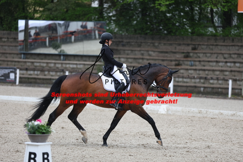 A40A8920 | lmwpictures - Realisiert mit Pictrs.com