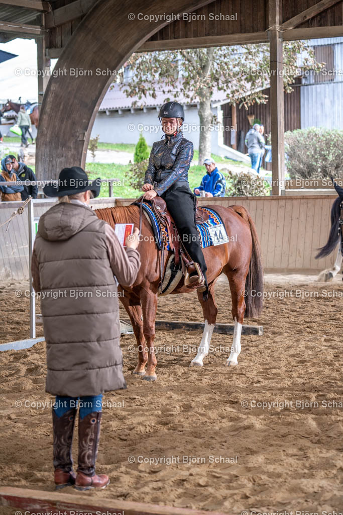 LMB03998 | BS-foto