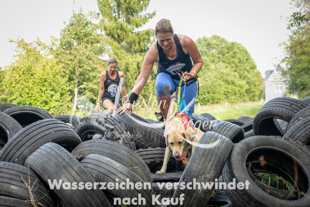 1514_ZZ91556-Bearbeitet | kk-dogfotos