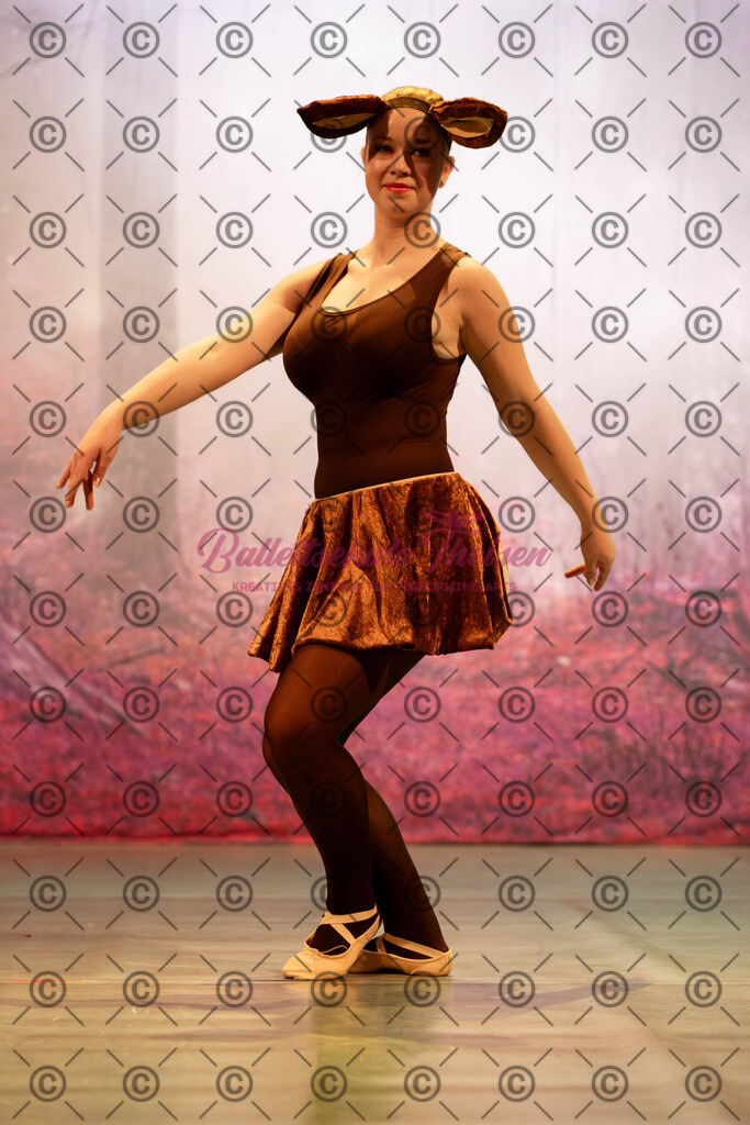 Ballettaufführung-1208 | Bildershop Lem'n Entertainment - Realisiert mit Pictrs.com