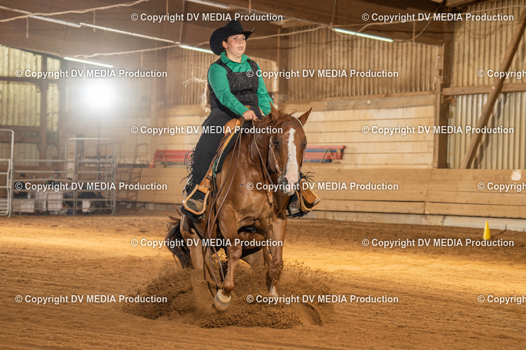 NID01971 | dv-media-shop - Realisiert mit Pictrs.com