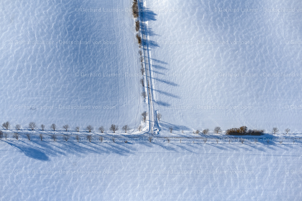 4044983 | KELBRA (KYFFHäUSER) 14.02.2021 Winterlich schneebedeckte Baumreihe an einem Feldrand in Kelbra (Kyffhäuser) im Bundesland Sachsen-Anhalt, Deutschland. // Wintry snowy row of trees in a field edge in Kelbra (Kyffhaeuser) in the state Saxony-Anhalt, Germany. Foto: Gerhard Launer