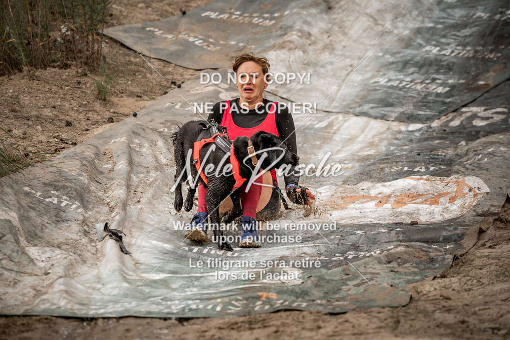 nelerasche_sa0800-1000_351 | nelerasche