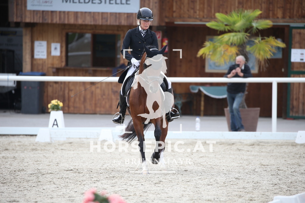 DL2Q4619 | Willkommen bei Brunnmayr - Design & Fotografie – Ihrem Spezialisten für Reitturniere und Pferdeveranstaltungen in Oberösterreich, Salzburg und Bayern! Seit über 17 Jahren sind wir leidenschaftlich dabei.