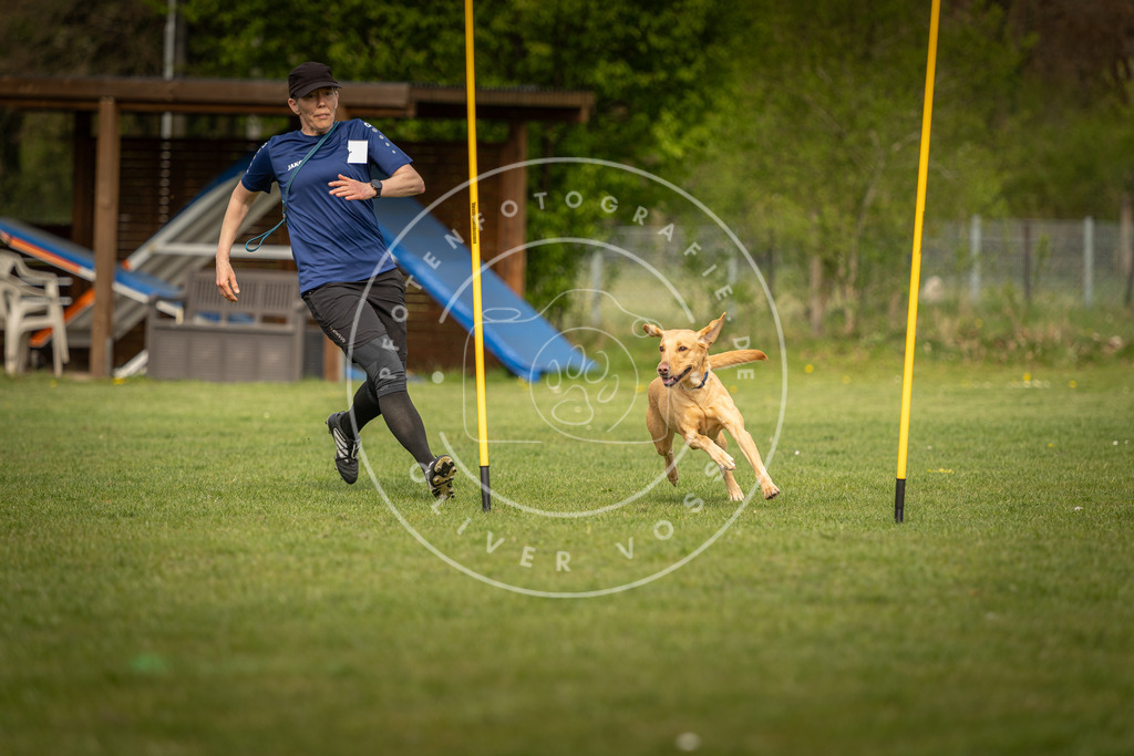 Pfotenfotografie_DV3A5657 | Hundefotografie, Tierfotograf, Pfotenfotografie, Fotoshooting Hund, Hunde Portrait, Hundesport, Hundeportraits, Heideshooting, Hunde, Sportfotograf, Hundefotograf, Turnierhundsport, THS,  - Realisiert mit Pictrs.com