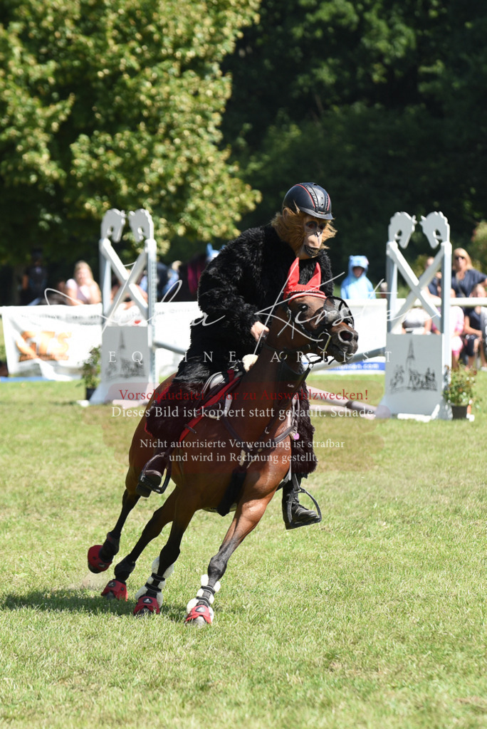 DSC_0312 | Pferde- und Turnierfotografie in Westsachsen. Pferdeportraits, Auftragszeichnungen und intuitive Kunst.