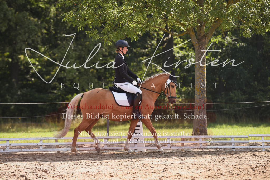 DSC_0606 | Pferde- und Turnierfotografie in Westsachsen. Pferdeportraits, Auftragszeichnungen und intuitive Kunst.