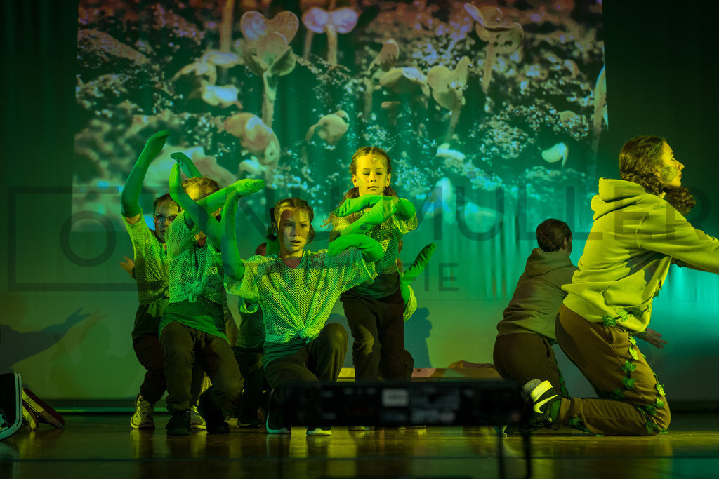 DSC06189 | Tinu Müller Fotografie- Bildershop - Realisiert mit Pictrs.com