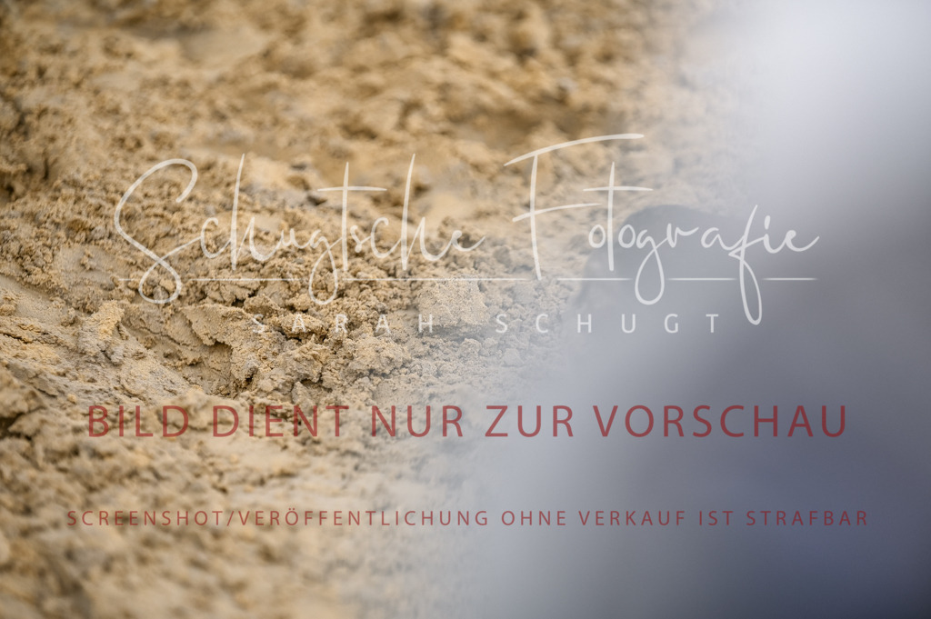 Schugtsche-Aluta25-41.Amat-Dressurprf.A_-487 | Schugtsche Fotografie - Realisiert mit Pictrs.com
