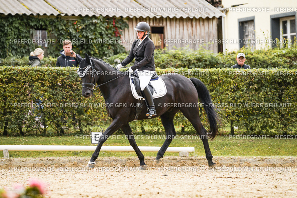 DSC01222 | Pferdegrafie