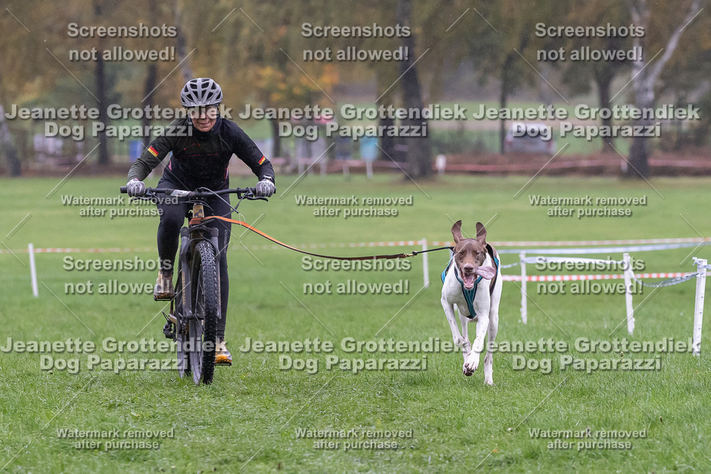 Dog Paparazzi - SD CaniX Championship 2025-932 | Dog Paparazzi Jeanette Grottendiek Fotografie & Videografie - Realisiert mit Pictrs.com