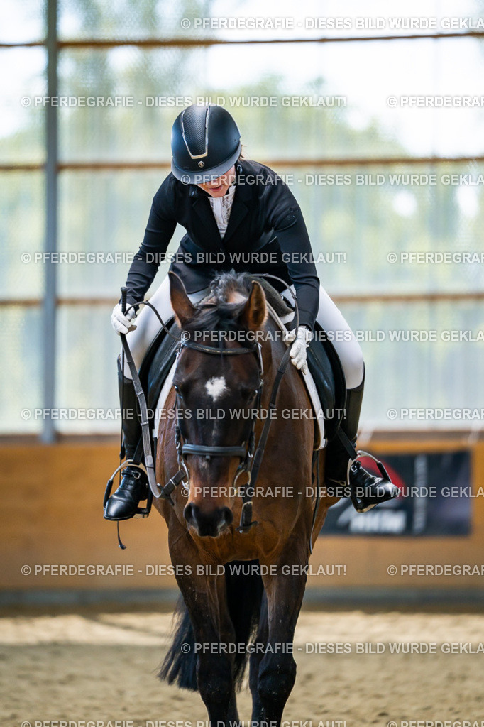 DSC05755 | Pferdegrafie