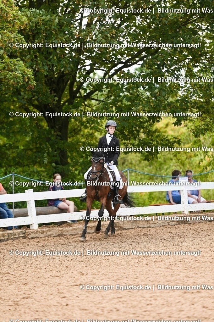 20230716_10-2_Reiter-WB Schritt - Trab - Galopp_0118 | equistock