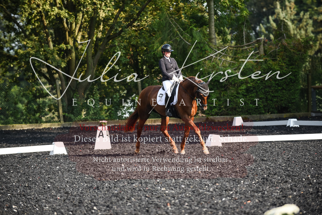 DSC_3274 | Pferde- und Turnierfotografie in Westsachsen. Pferdeportraits, Auftragszeichnungen und intuitive Kunst.