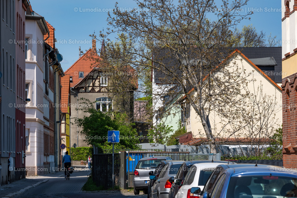 10049-12814 - Halberstadt - Feldstrasse | Stockfoto und Bilderpool mit Bildmaterial aus Deutschland, dem Harz, Halberstadt, Quedlinburg, Wernigerode und weltweit. Qualitativ hochwertige und professionelle Fotos anschauen und kaufen. - Realisiert mit Pictrs.com