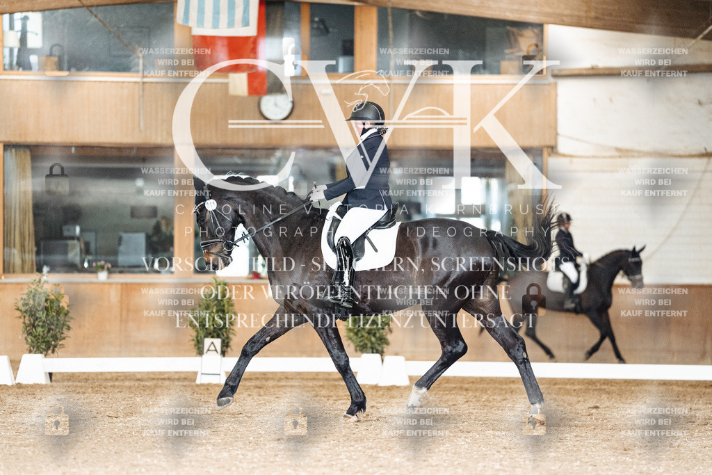 CK902263 | Turnierfotografie Pferdefotografie Trier Rheinland-Pfalz Pferdesport Reitsport Tierfotografie Sportfotografie Pferdevideo Pferdevideografie Equestrianvideography equestrianphotography  - Realisiert mit Pictrs.com