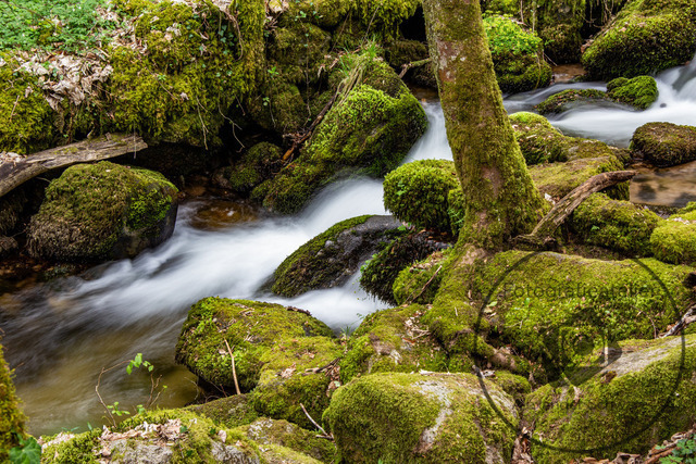 1000279-11042026-185142 | Landschaftsfotos, Naturfotos, Fotos, Fotograf, Landschaftsfotograf, Naturfotograf, professioneller Fotograf
