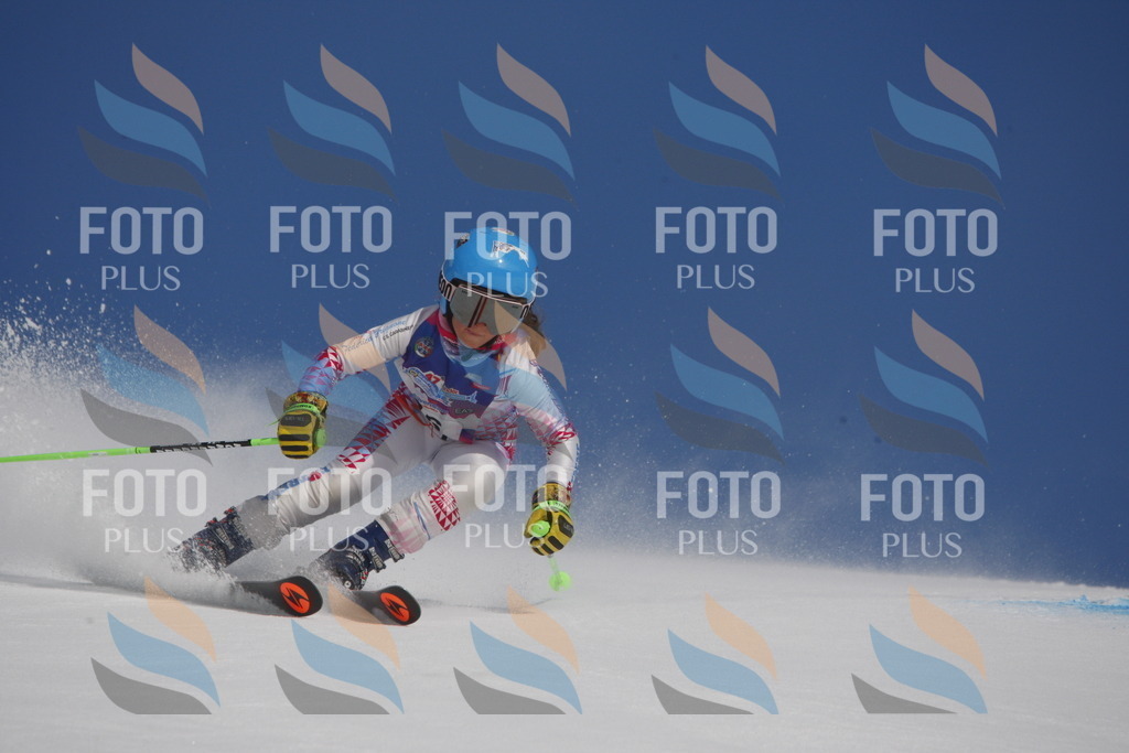 _W1G0177 | holidayphoto