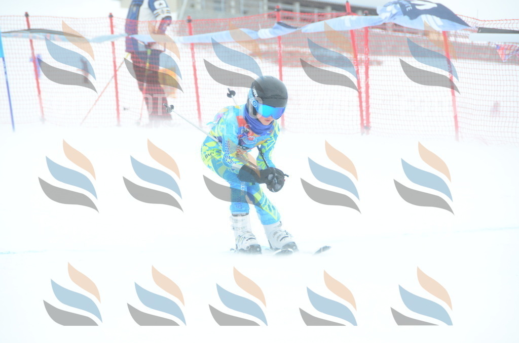 DSC_1378 | holidayphoto