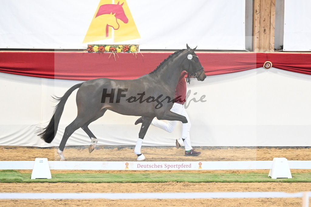 Kat.-Nr. 56 v. Feliciano_Breitner-Rötzer_3260404 | hf-fotografie - Realisiert mit Pictrs.com