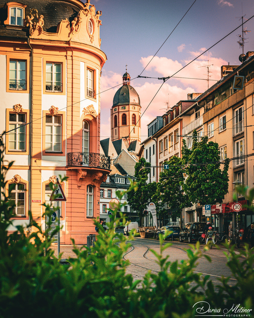 DSC_2567 2 | Fotografien, Fotos und Bilder aus Mainz, Frankfurt, Wiesbaden und anderen Orten auf der Welt - Fotografiert von Darius Metzner