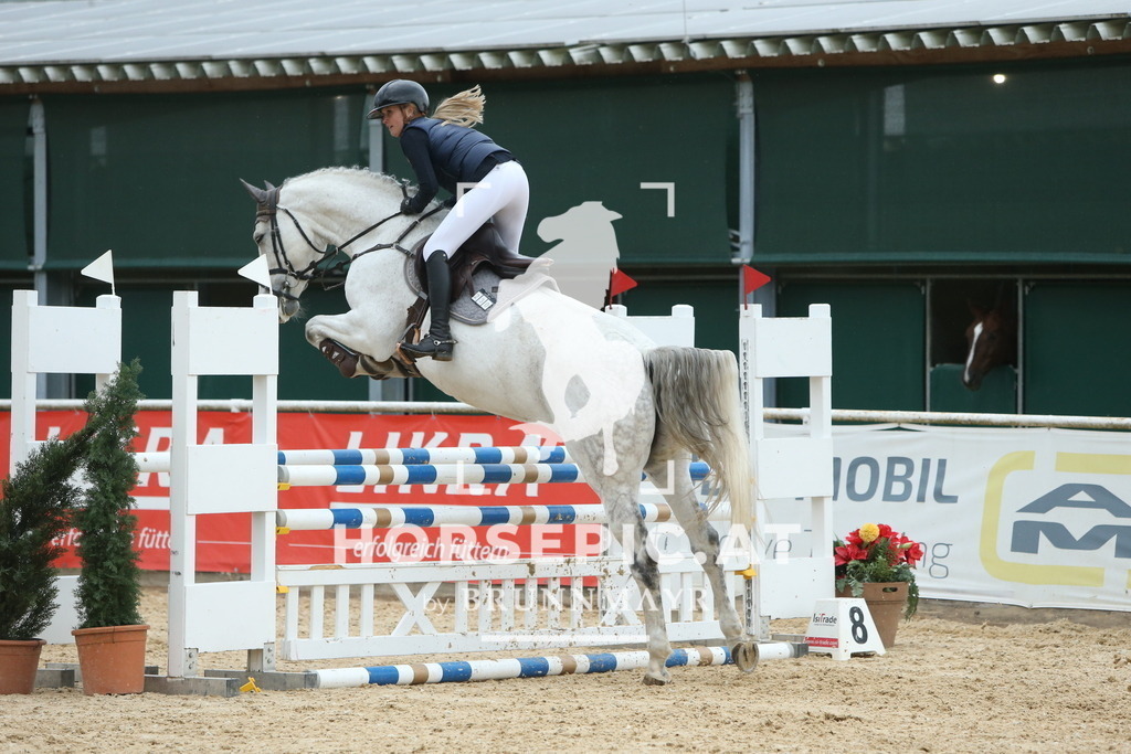 DL2Q7731 | Willkommen bei Brunnmayr - Design & Fotografie – Ihrem Spezialisten für Reitturniere und Pferdeveranstaltungen in Oberösterreich, Salzburg und Bayern! Seit über 17 Jahren sind wir leidenschaftlich dabei.