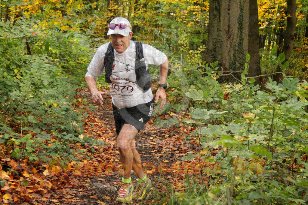 251026_1248_EV4_5847 | Sportfotografie im Rhein-Sieg Kreis, Köln, Bonn, NRW, Rheinland Pfalz, Hessen, etc. Unser Tätigkeitsfeld umfasst den Laufsport vom Volkslauf über den Marathon, Duathlon, Triathon bis zum Ultralauf wie Kölnpfad Ultra oder Schindertrail.