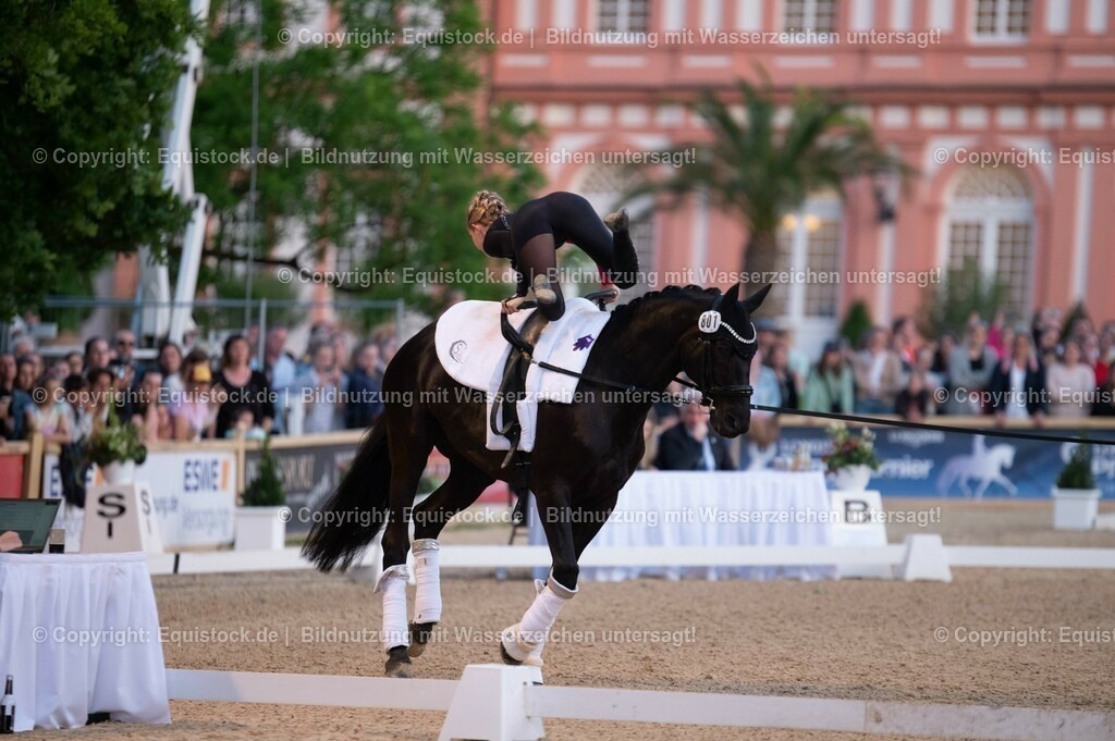 20230527_Voltigieren_NASPA_Flutlicht_0216 | equistock