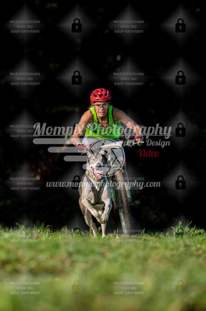 TSB_2023_E7_Bike-5 | PayLife