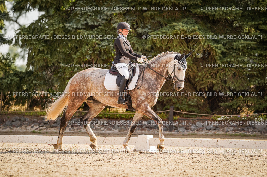 DSC01065 | Pferdegrafie