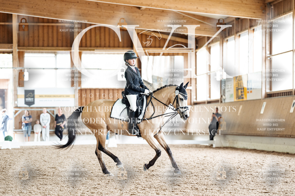 CK901542 | Turnierfotografie Pferdefotografie Trier Rheinland-Pfalz Pferdesport Reitsport Tierfotografie Sportfotografie Pferdevideo Pferdevideografie Equestrianvideography equestrianphotography  - Realisiert mit Pictrs.com