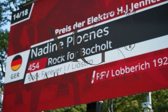 VAN02611 | Pferdefotografie in Köln und Umgebung – emotionale Pferdeshootings, Turnierfotografie und besondere Momente zwischen Pferd und Mensch. - Realisiert mit Pictrs.com