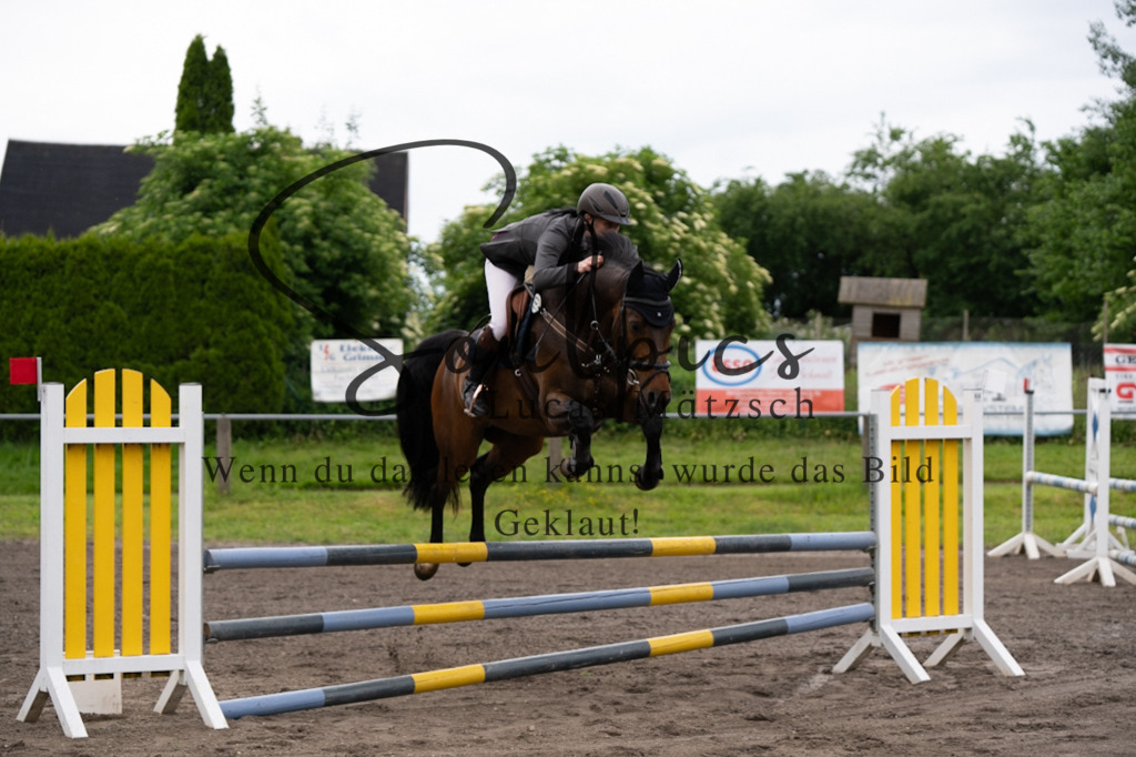 A7V03849 | Pferdefotograf