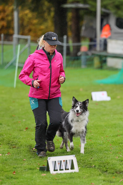 2025_Rally_Obedience_SM-73 | Ich fotografiere Hundeausstellungen, Sportanlässe, Zuchtstätten, Hundezucht, Hundeportrait, Lagotto - Realisiert mit Pictrs.com