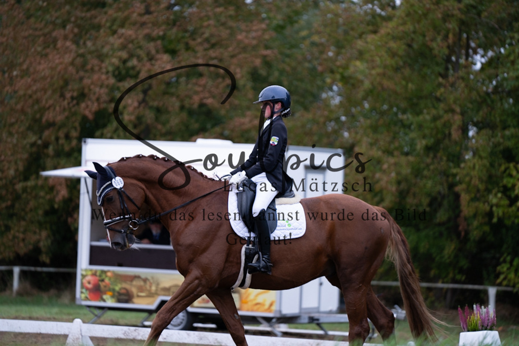 A7V06030 | Pferdefotograf